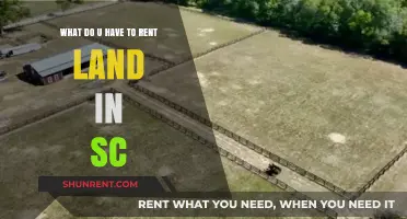 Renting Land in South Carolina: Essential Requirements and Steps