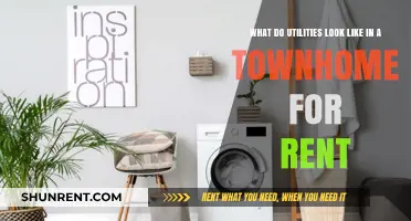 Townhome Rentals: Understanding Utility Setup and Responsibilities for Tenants
