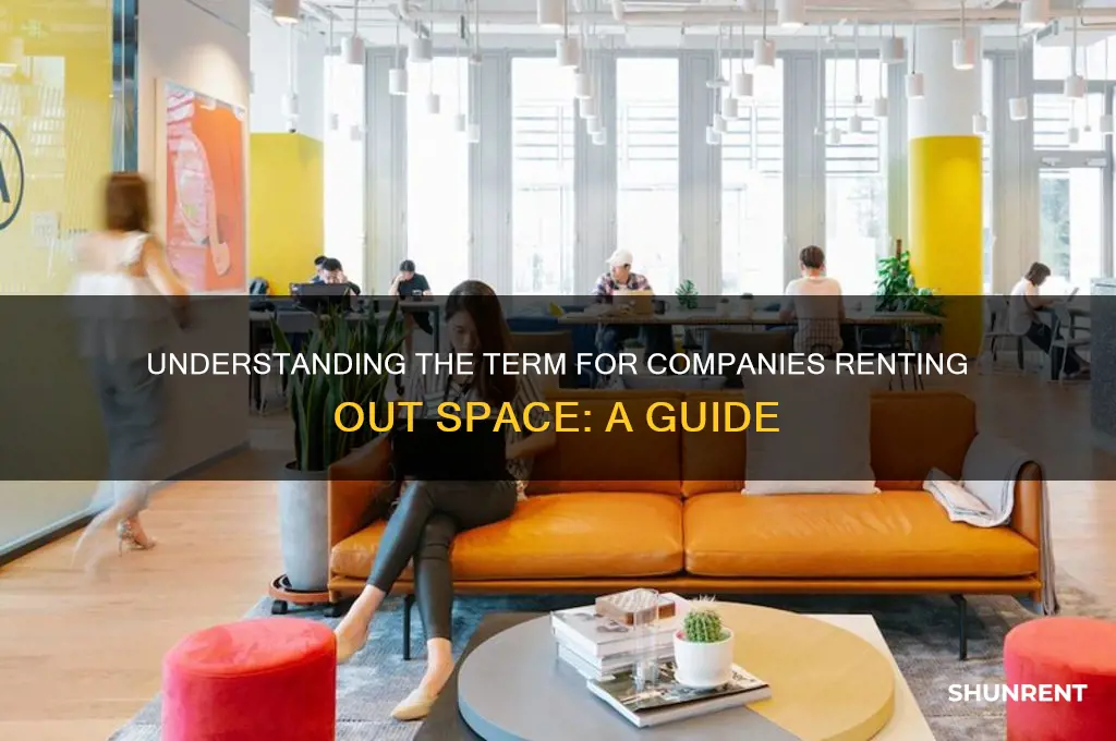 what do you call a company renting space