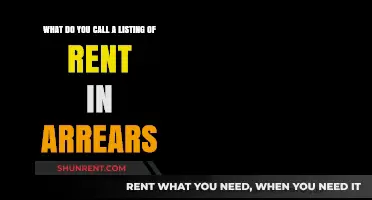Understanding Rent Arrears: What to Call a Listing of Overdue Payments
