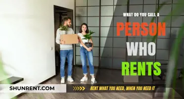 Renters, Tenants, or Leaseholders: Understanding the Terms for Renting Individuals