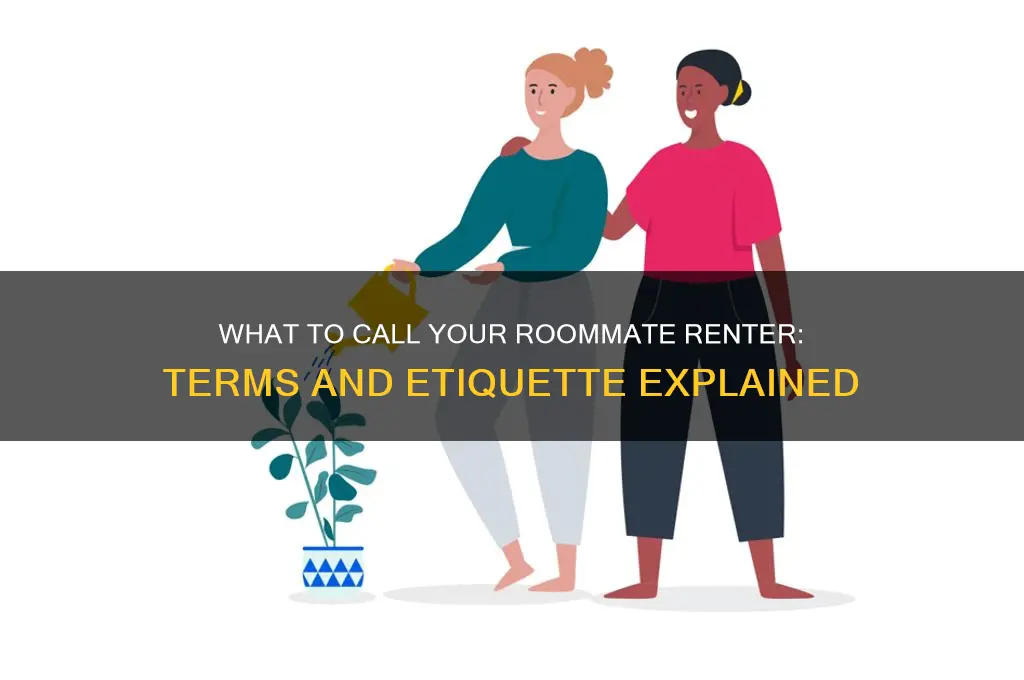 what do you call a roommate renter
