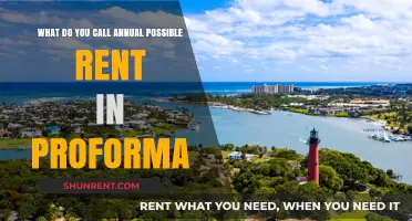 Understanding Proforma: What's the Term for Annual Potential Rent?