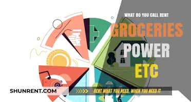Essential Living Expenses: Naming Rent, Groceries, Power, and More