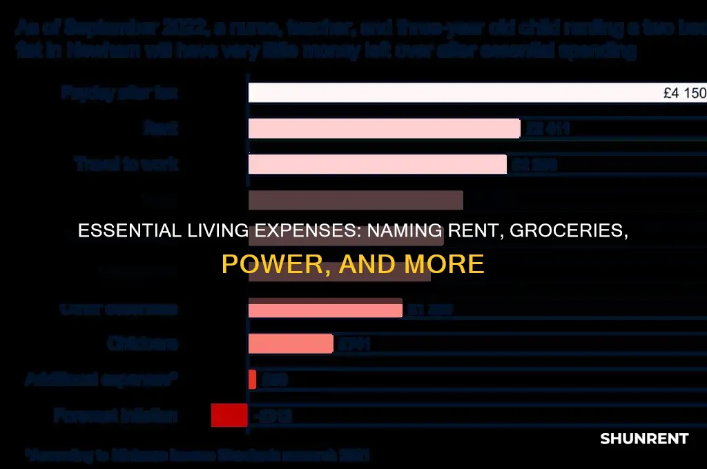 what do you call rent groceries power etc