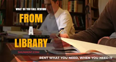 Borrowing Books and Beyond: Understanding Library Rental Terminology