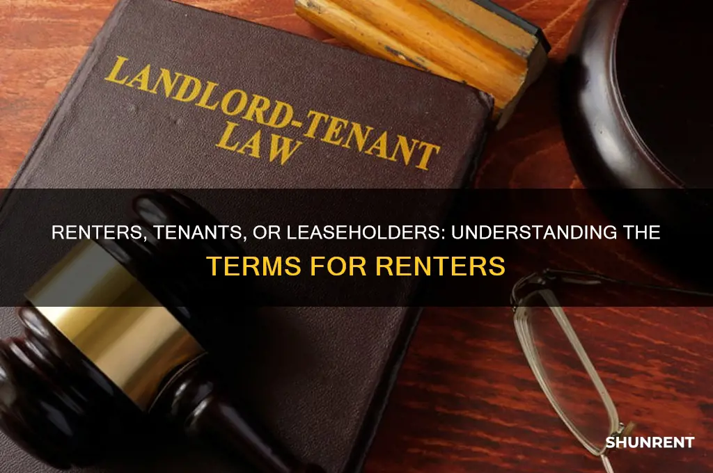 what do you call someone who rents