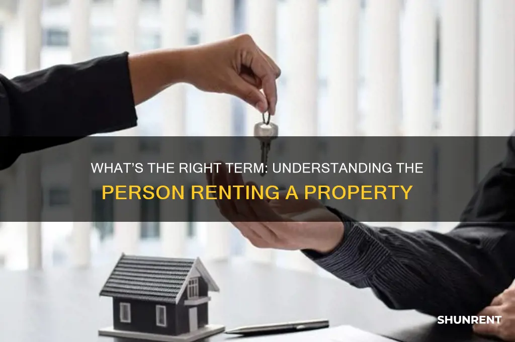 what do you call the person renting