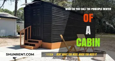 Understanding the Role of the Primary Cabin Renter: Key Terms Explained