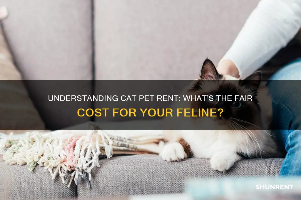 what do you charge for 1 cat pet rent