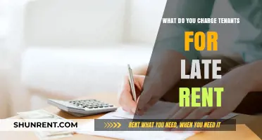 Late Rent Fees: Charging Tenants Fairly