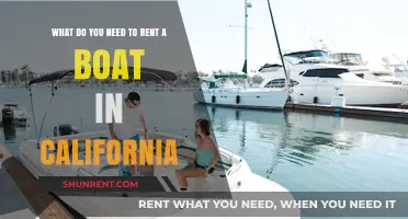Boat Rental Requirements in California: What You Need