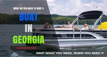 Renting a Boat in Georgia: Essential Requirements and Tips