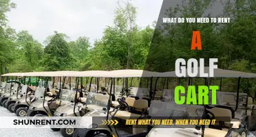 Essential Requirements for Renting a Golf Cart: A Comprehensive Guide