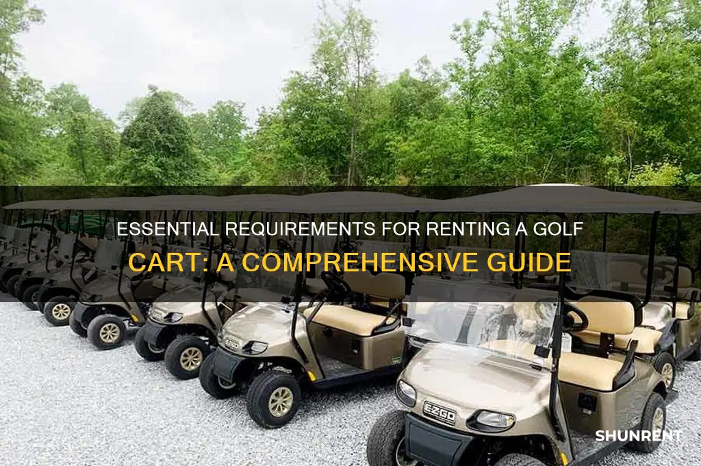 what do you need to rent a golf cart