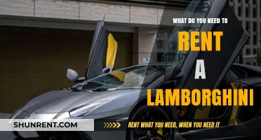Renting a Lamborghini: Essential Requirements and Tips for Your Dream Ride