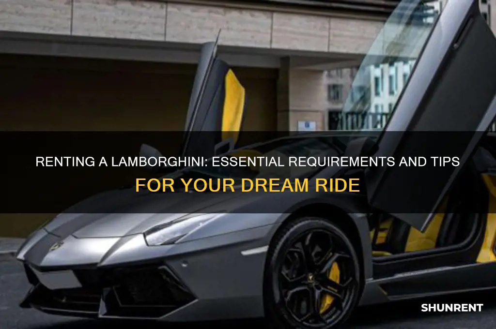 what do you need to rent a lamborghini