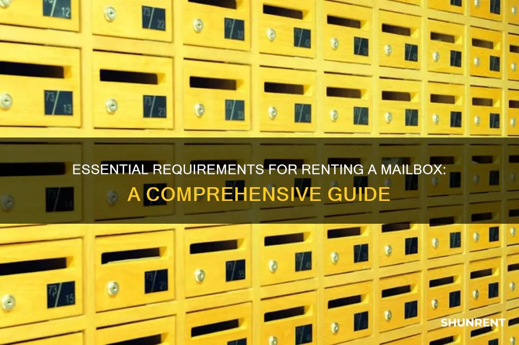 what do you need to rent a mail box