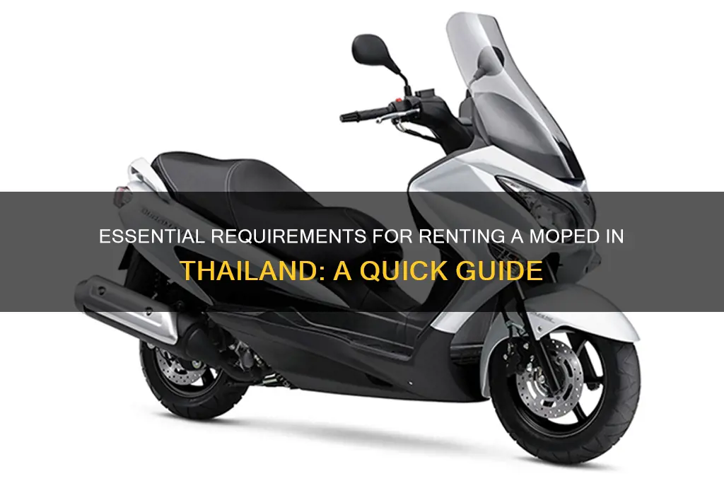 what do you need to rent a moped in thailand