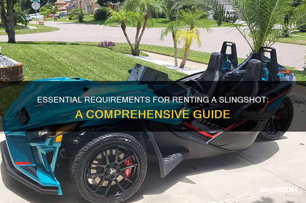 what do you need to rent a slingshot