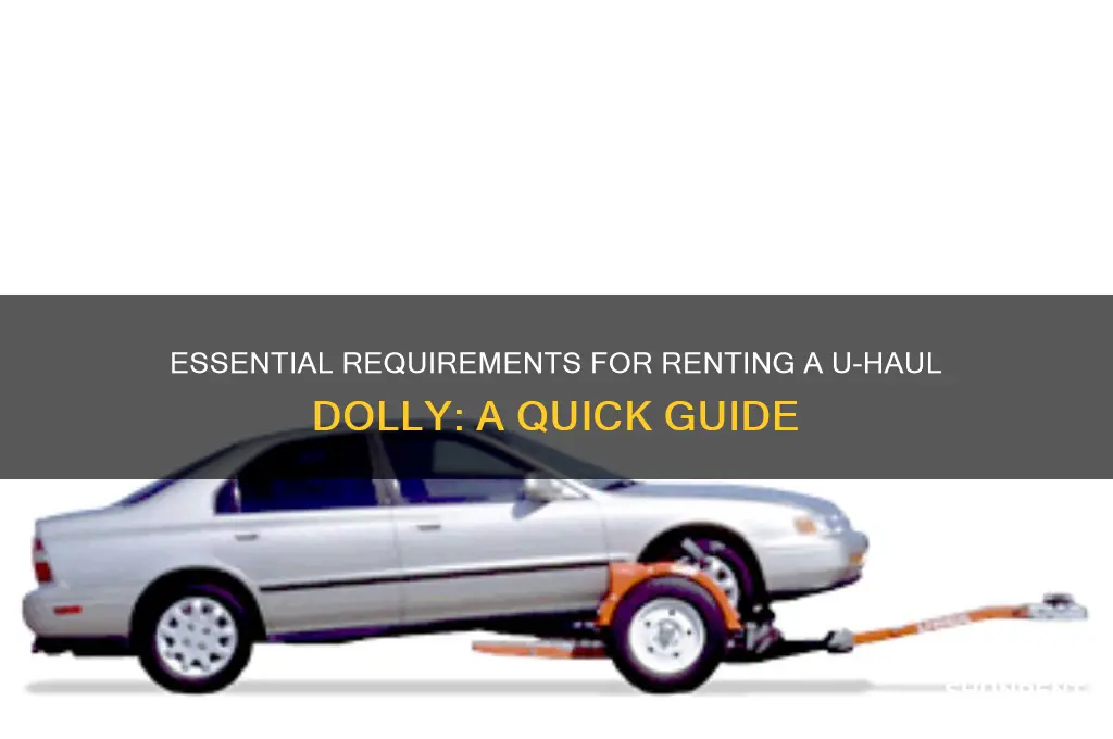 what do you need to rent a uhaul dolly