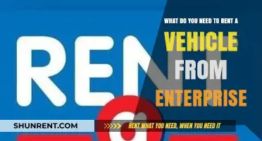 Essential Requirements for Renting a Vehicle from Enterprise