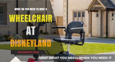 Renting a Wheelchair at Disneyland: Essential Tips and Requirements