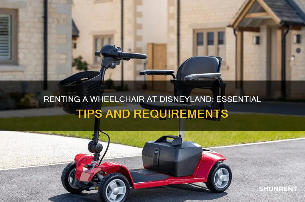 what do you need to rent a wheelchair at disneyland