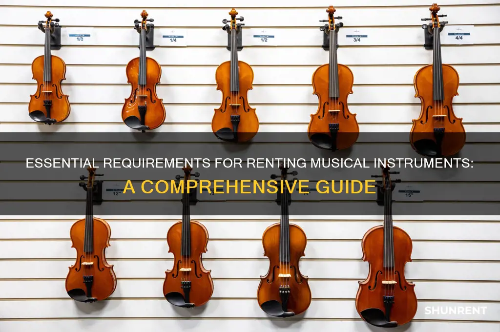 what do you need to rent an instrument