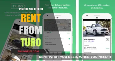 Renting a Car From Turo: What You Need