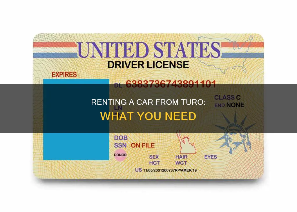 what do you need to rent from turo
