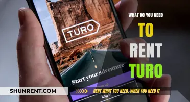 Essential Requirements for Renting a Car on Turo: A Complete Guide