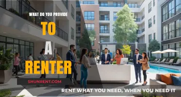 Essential Amenities and Services: What to Provide to Your Renter