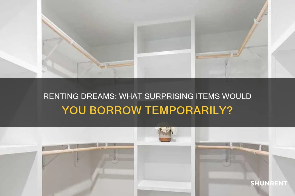 what do you wish you could rent