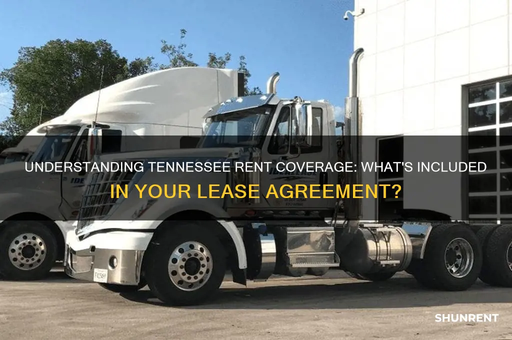 what doea rent cover in the state of tn mean