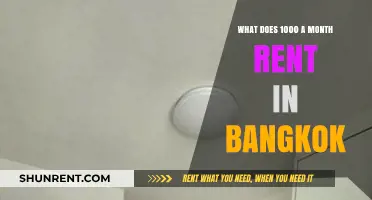 Exploring Bangkok's Rental Market: What Can $1000 Monthly Get You?