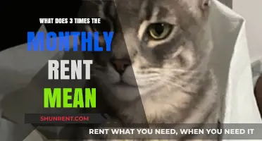 Understanding the 3x Rent Rule: What Does It Mean for Tenants?