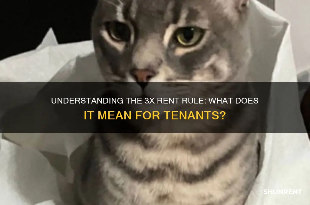 what does 3 times the monthly rent mean