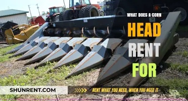 How Much Does Corn Head Rental Cost? A Comprehensive Guide