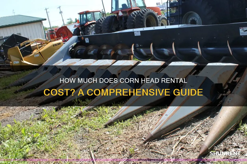 what does a corn head rent for