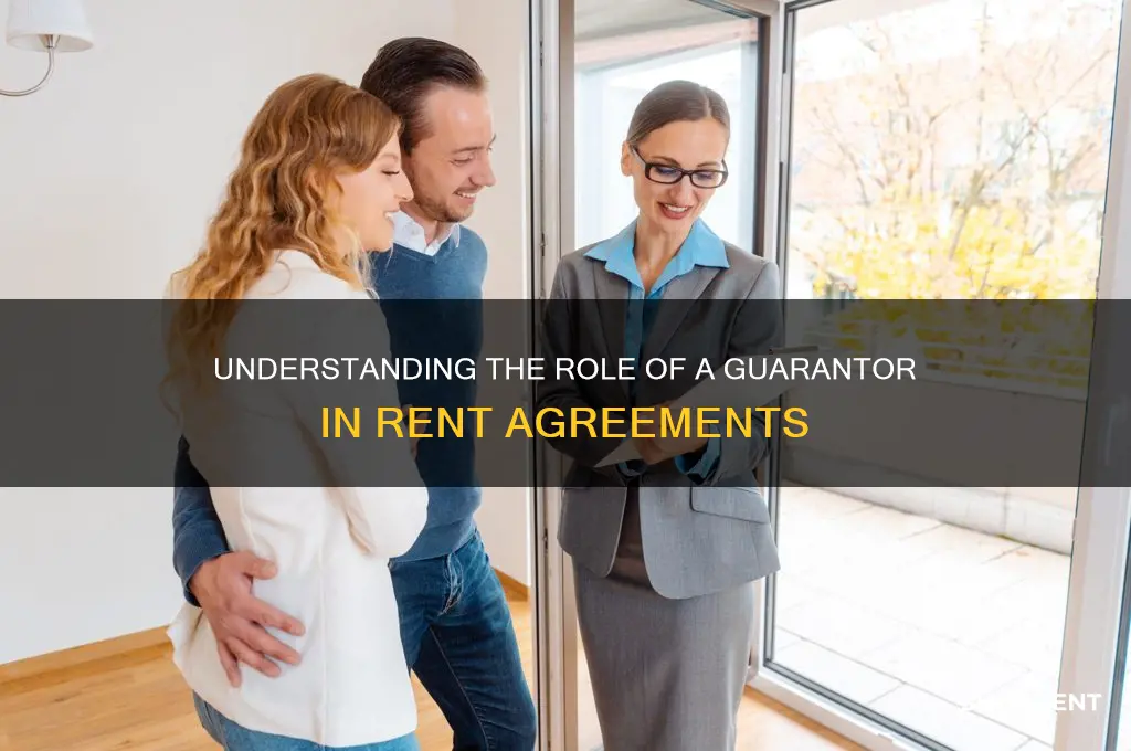 what does a guaruantor do for rent