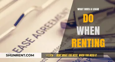Understanding Leases: Essential Roles and Benefits When Renting Property