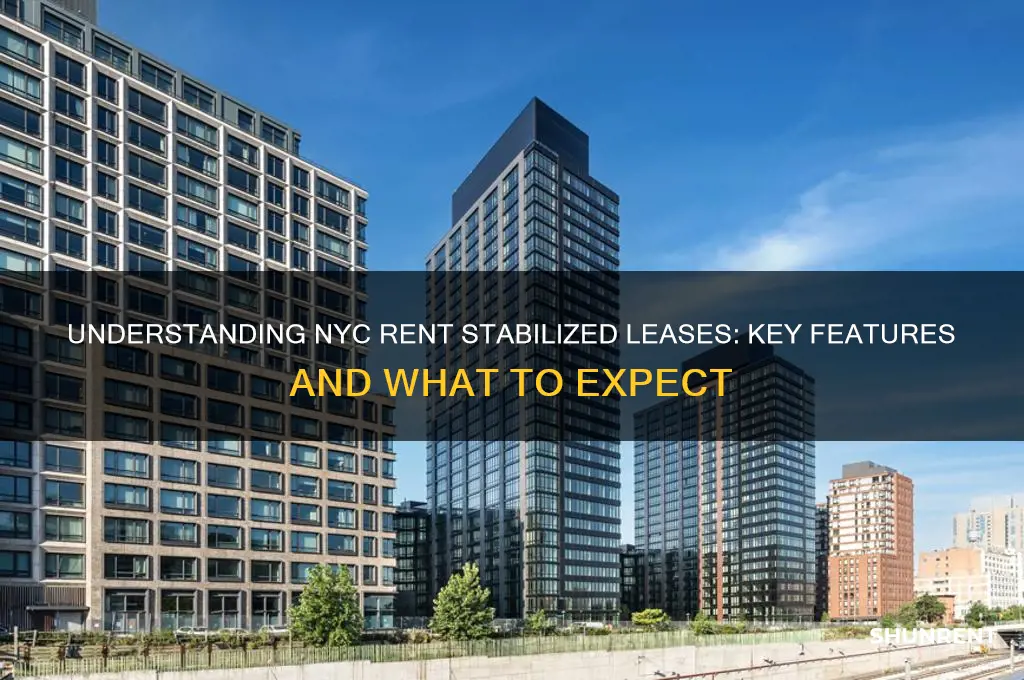 what does a nyc rent stabalized lease look like