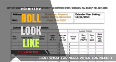 Understanding Rent Rolls: Visual Guide to Structure and Components