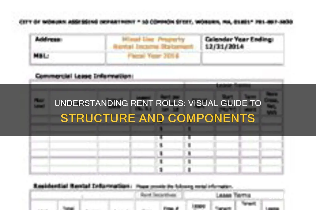 what does a rent roll look like
