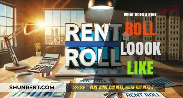 Understanding Rent Rolls: Visual Guide to Structure and Key Components