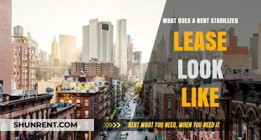 Understanding Rent Stabilized Leases: Key Features and Tenant Protections