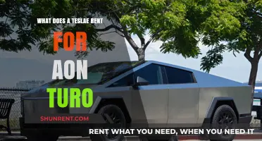 How Much Does Renting a Tesla on Turo Cost?