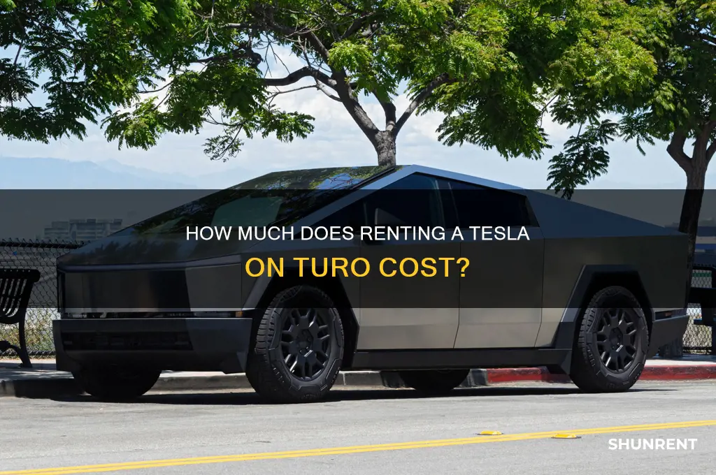 what does a teslae rent for aon turo