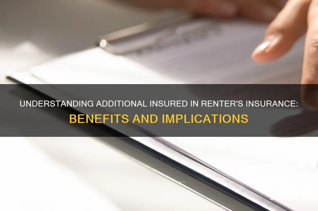 what does adding an additional insured mean renter
